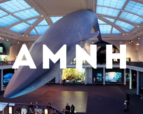 American Museum of Natural History